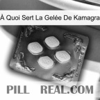 À Quoi Sert La Gelée De Kamagra 02